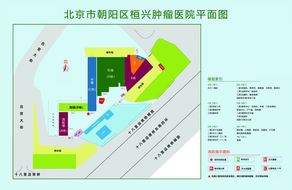 日本白虎AVw.w.w北京市朝阳区桓兴肿瘤医院平面图